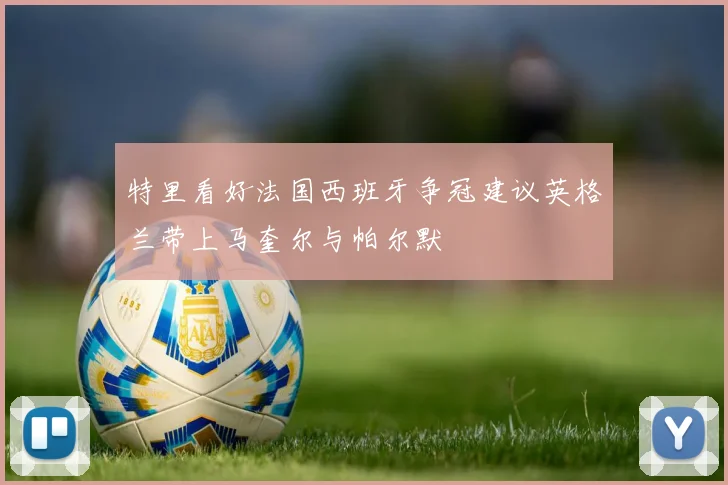 特里看好法国西班牙争冠建议英格兰带上马奎尔与帕尔默