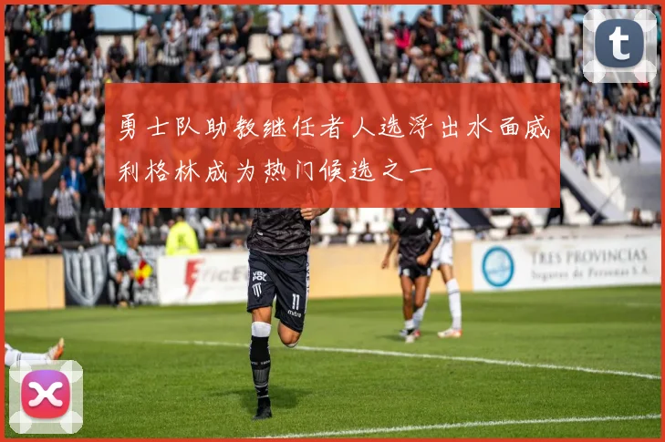 勇士队助教继任者人选浮出水面威利格林成为热门候选之一