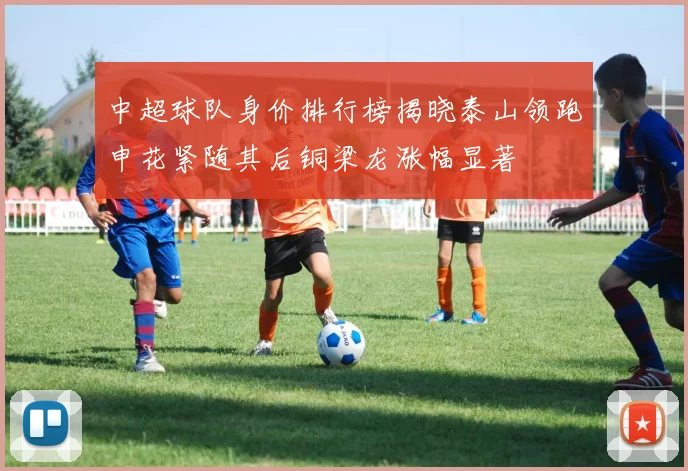 中超球队身价排行榜揭晓泰山领跑申花紧随其后铜梁龙涨幅显著